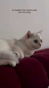 rachelchaleff Altpins Profile Picture