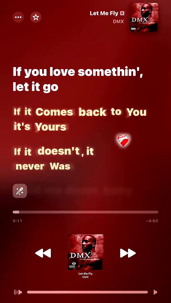 _lil_noa_ archive video preview