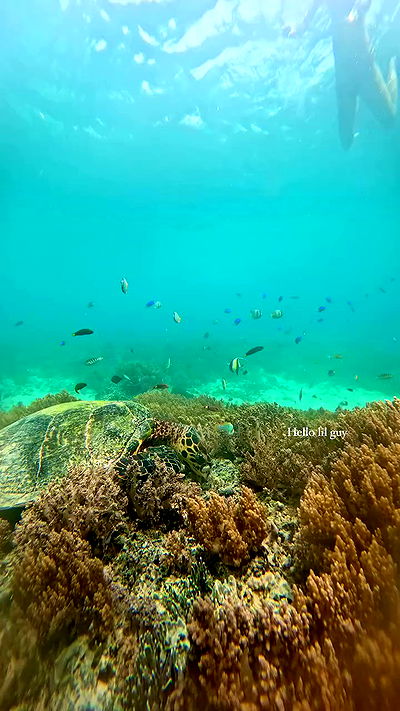 taylor.creeden taylor.creeden archive video