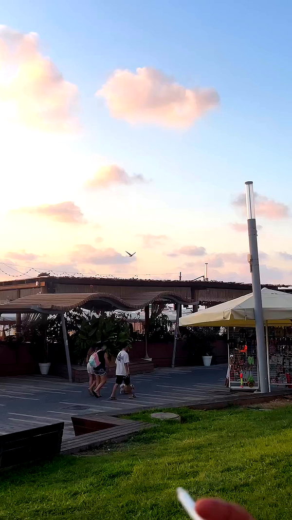 _.shelichka._ archive video preview