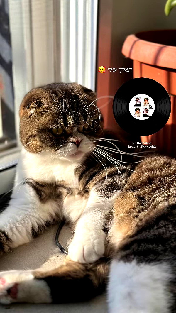 sonia_litvanchuk archive video preview