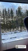 avestanova Altpins Profile Picture