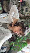 f4iryybl00d Altpins Profile Picture