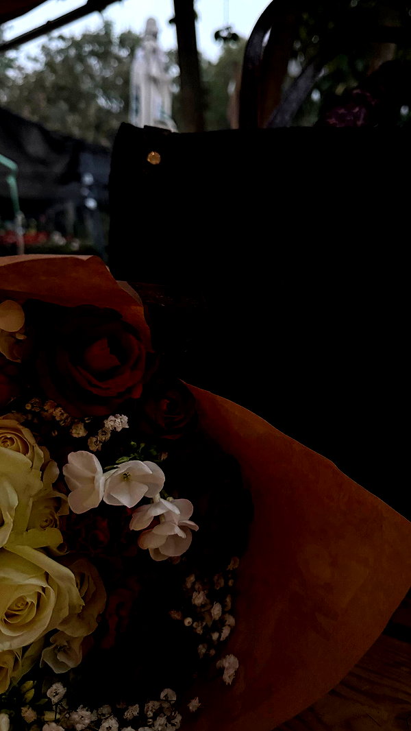 lia.lindner archive video preview