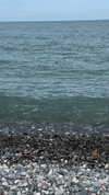 ira_dash_ Altpins Profile Picture
