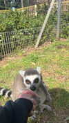 feelbetterinmysweater Altpins Profile Picture