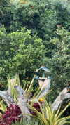 ruth_chavarri Altpins Profile Picture