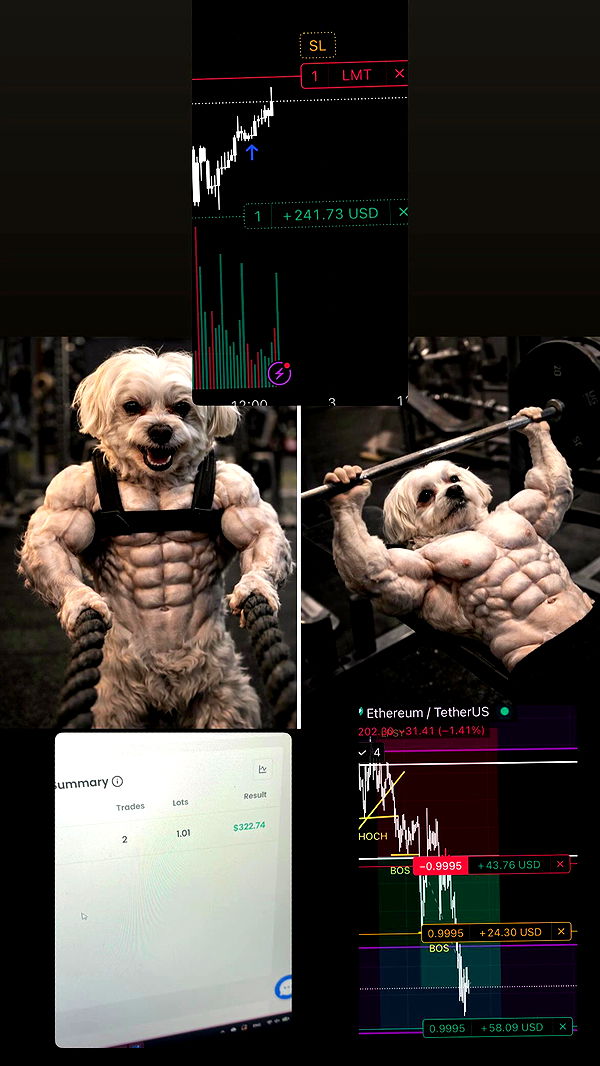 electrixjuggle archive video preview