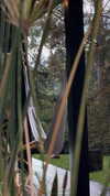 ruth_chavarri Altpins Profile Picture