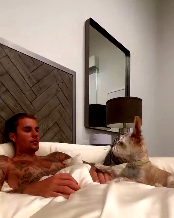 lilbieber archive video preview