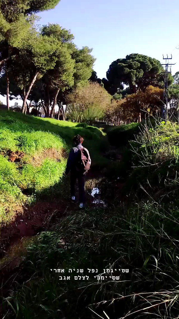 evasela__ archive video preview