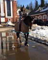 kafelnikova_a Altpins Profile Picture