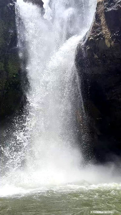 taylor.creeden taylor.creeden archive video