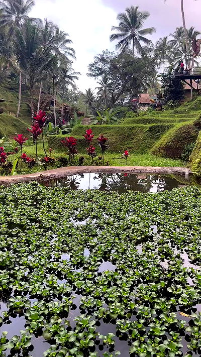 taylor.creeden taylor.creeden archive video