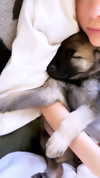 ashleybenson Altpins Profile Picture