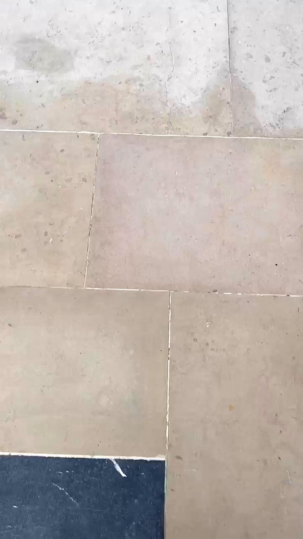 ruth_chavarri archive video preview