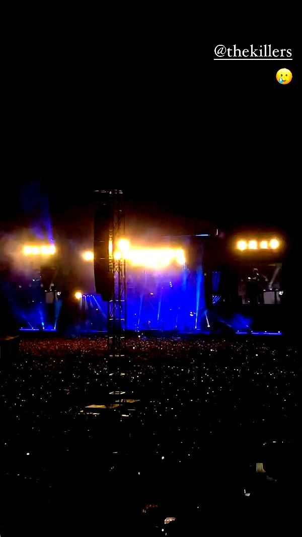 maruliners archive video preview