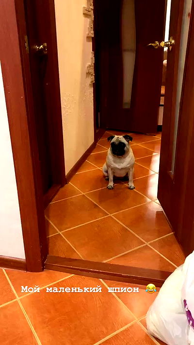 nyityam nyityam archive video