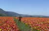 libby_reut Altpins Profile Picture