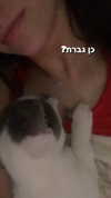 lera.genadenik Altpins Profile Picture