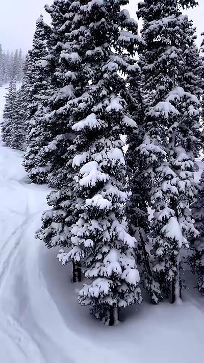 thelizzyporter thelizzyporter archive video