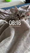 milena_milachich Altpins Profile Picture