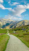 aleiisha.piixiie Altpins Profile Picture
