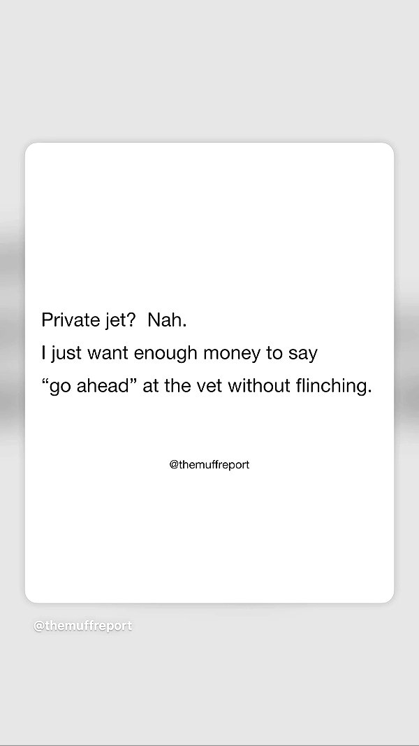 peachtoot.plz archive video preview
