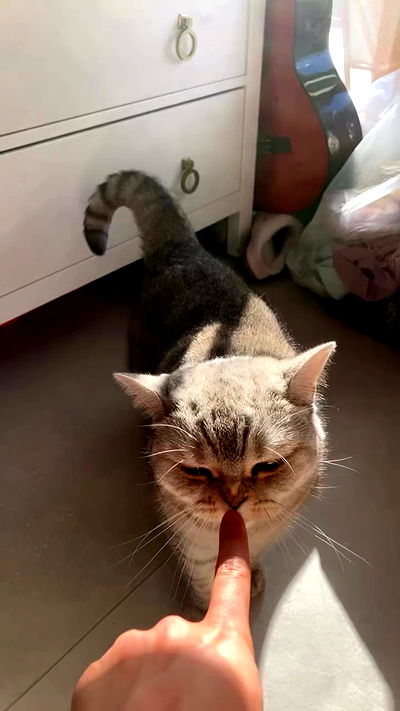 elianachetrit elianachetrit archive video