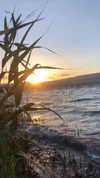 yaarat11 Altpins Profile Picture