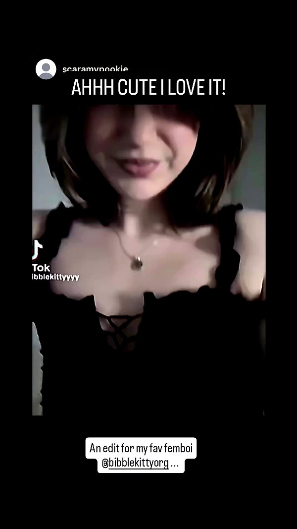 bibblekittyorg archive video preview