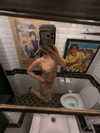 fair_mua Altpins Profile Picture
