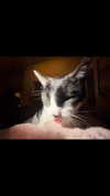 glitterr0ckstar Altpins Profile Picture