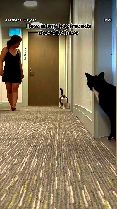 strawberryshanz strawberryshanz archive video