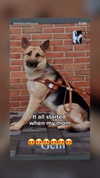 emily_new2 Altpins Profile Picture