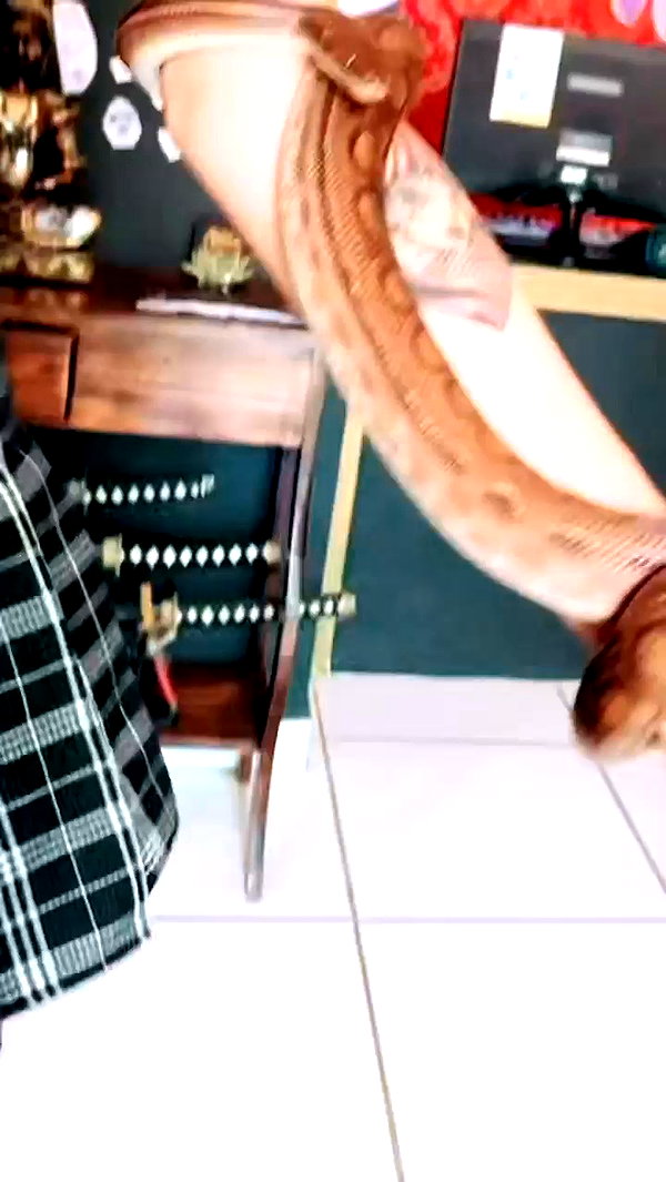 jadelaverne archive video preview