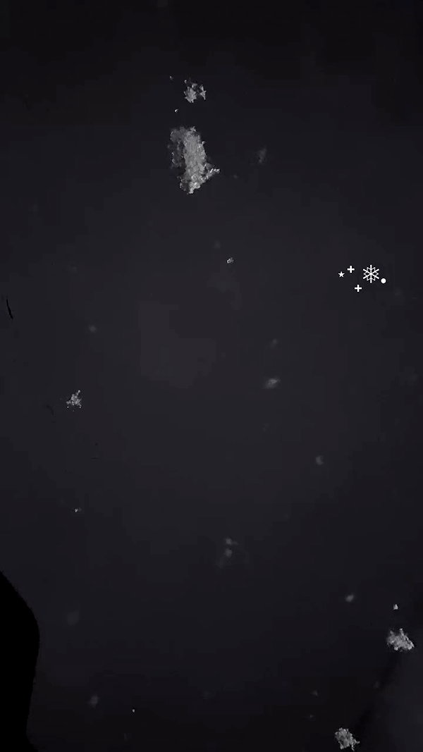 blarnes archive video preview