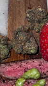 lip.sash Altpins Profile Picture
