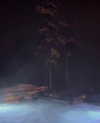 joycee.e Altpins Profile Picture