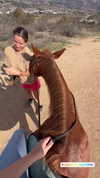 vanessa.rhd Altpins Profile Picture