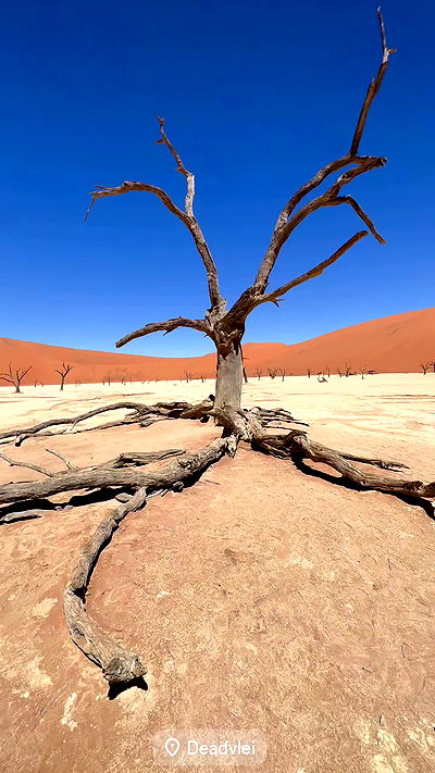 taylor.creeden taylor.creeden archive video