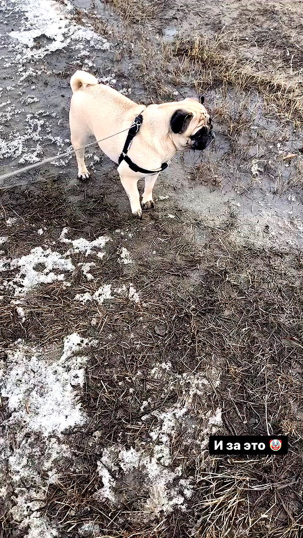 nyityam archive video preview