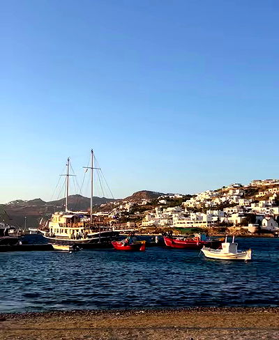 larin_manor1 larin_manor1 archive video