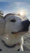 ruth_chavarri Altpins Profile Picture