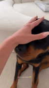 olivia.mathers Altpins Profile Picture