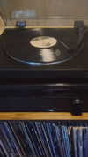 cannonstheband Altpins Profile Picture