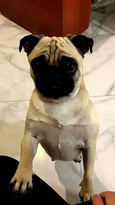 nyityam nyityam archive video