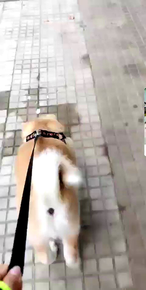 ruth_chavarri archive video preview