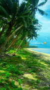 aleiisha.piixiie Altpins Profile Picture