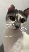 lera.genadenik Altpins Profile Picture